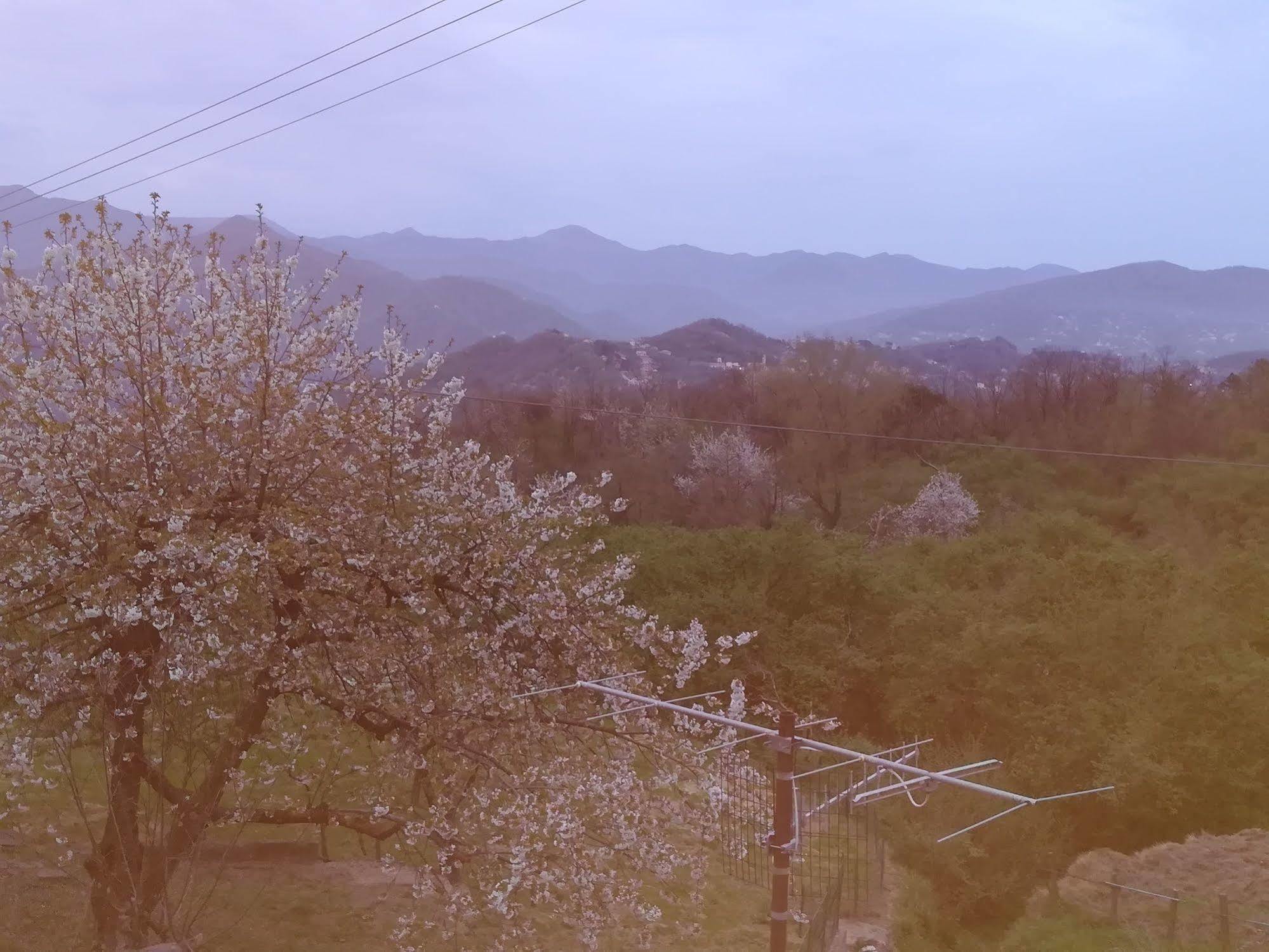Locanda Primo Sole Leivi エクステリア 写真